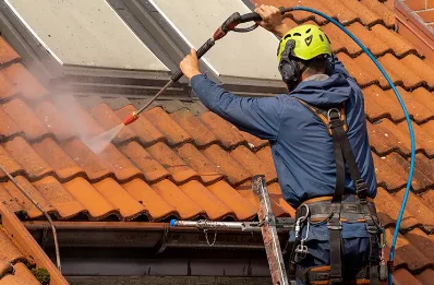 Démoussage et hydrofuge de toiture à Fozières